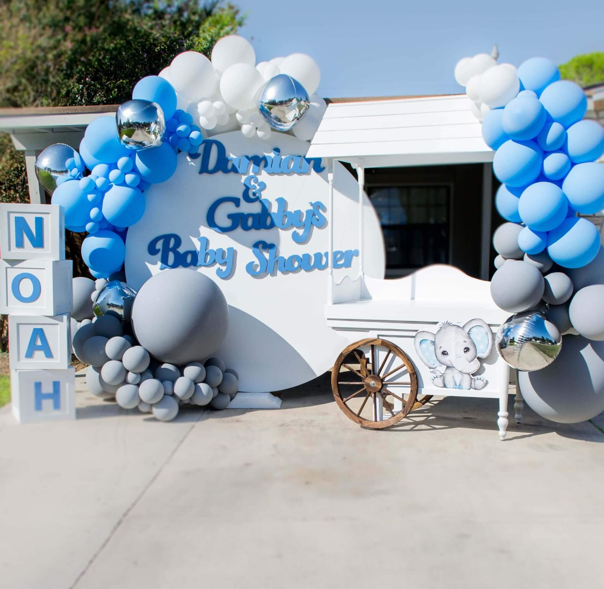 Top 15 Driveby baby Shower decoration ideas