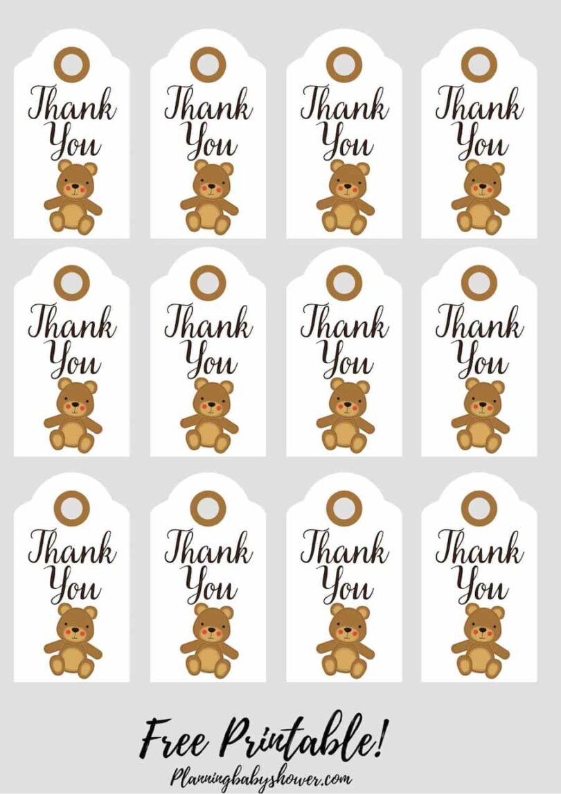 21+ Cute Teddy Bear Themed Baby Shower Ideas (With Free Printable)